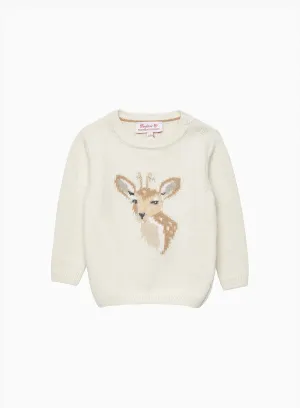 Baby Dasher Jumper