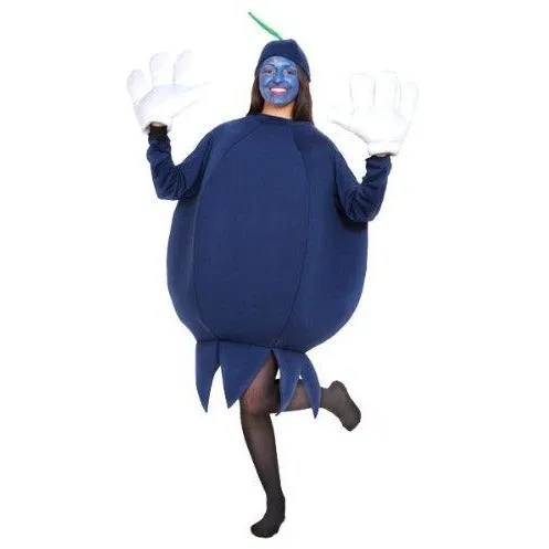 Blueberry Costume / Fruit Costume