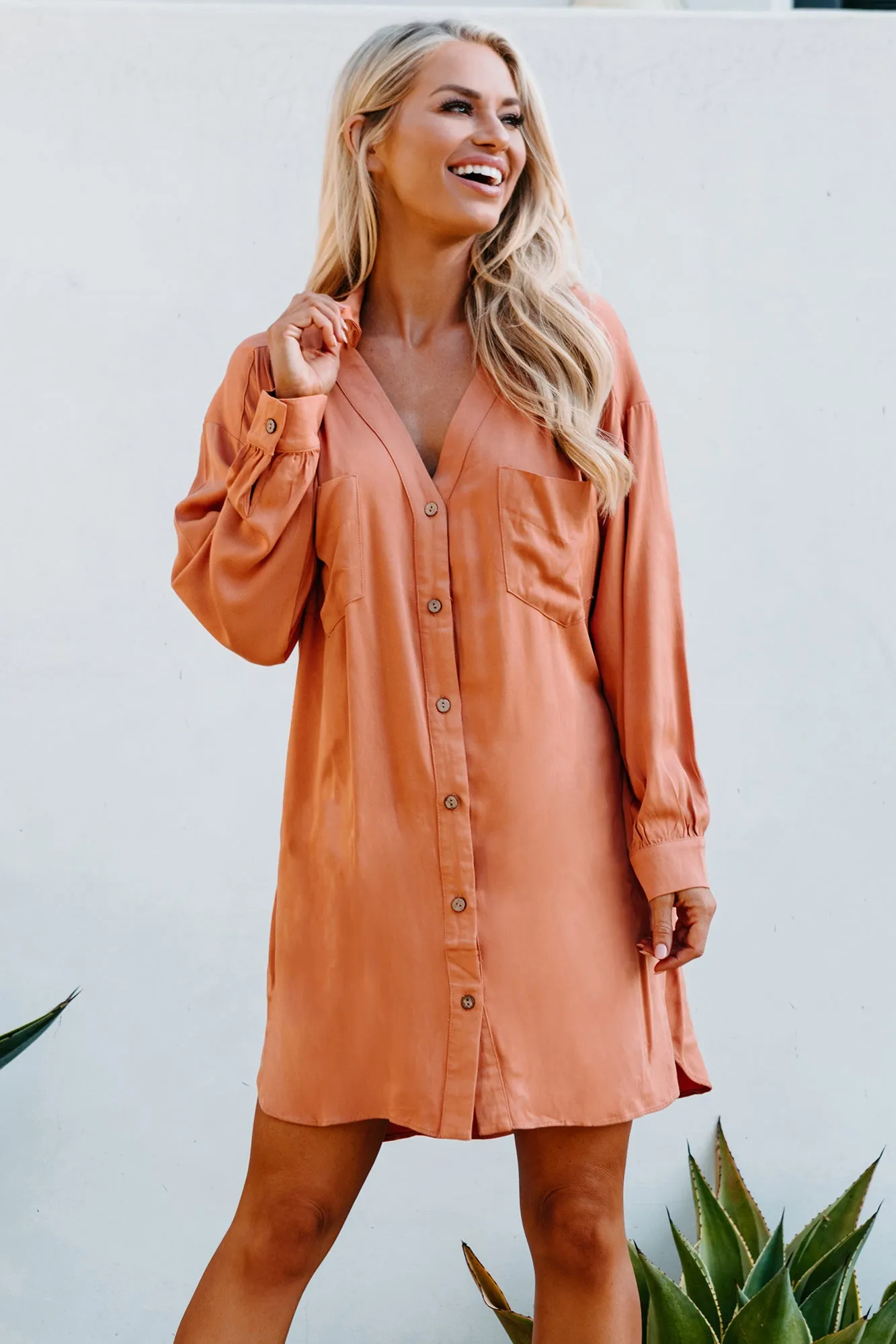 Lake Lover Long Sleeve Button Down Tunic Dress (Desert Mist)