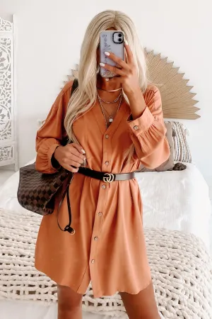 Lake Lover Long Sleeve Button Down Tunic Dress (Desert Mist)