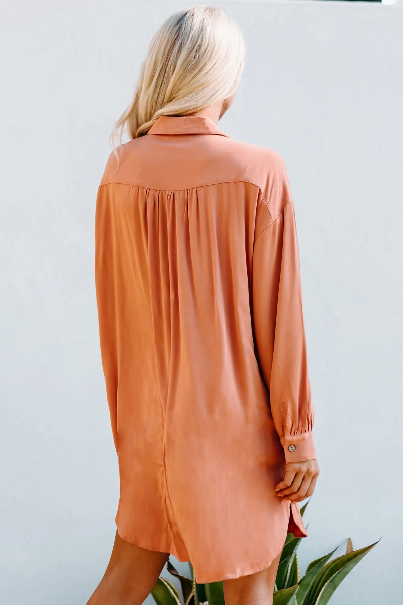 Lake Lover Long Sleeve Button Down Tunic Dress (Desert Mist)
