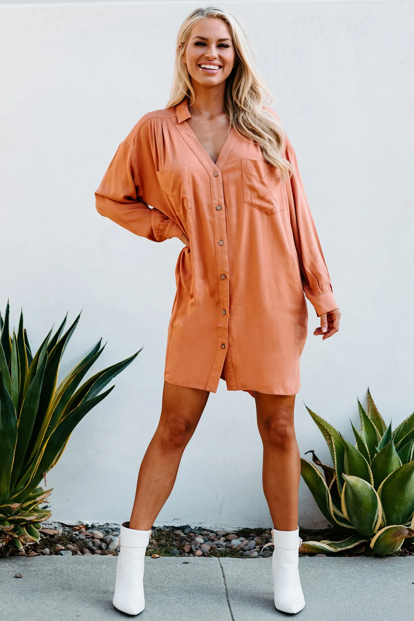 Lake Lover Long Sleeve Button Down Tunic Dress (Desert Mist)