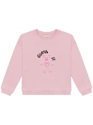 Pink Long Sleeve Jumper (2-7)